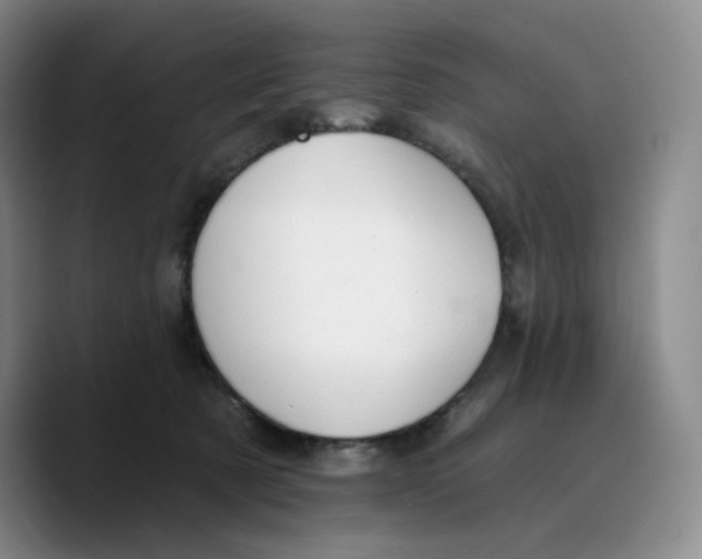 X0000089680321200707201705