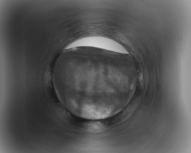 X0000089680322200707201705