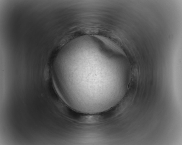 X0000089680323200707201705