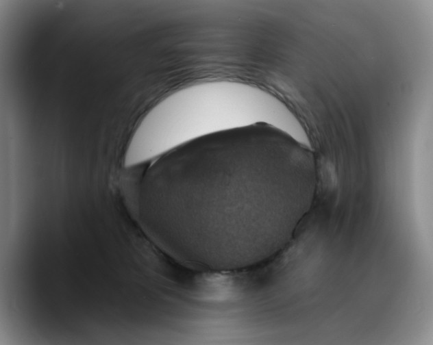 X0000089680325200707201705