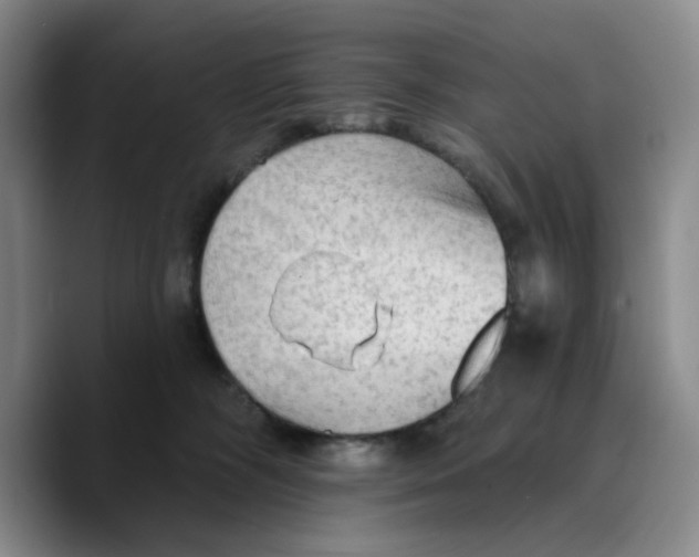 X0000089680326200707201705