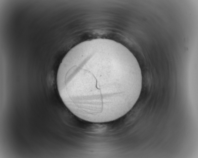 X0000089680328200707201705