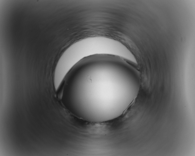 X0000089680329200707201705