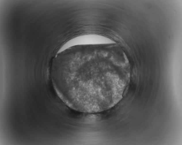 X0000089680330200707201705