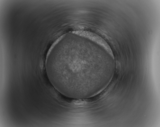 X0000089680331200707201705