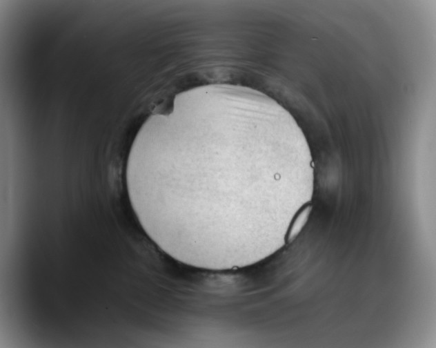 X0000089680332200707201705