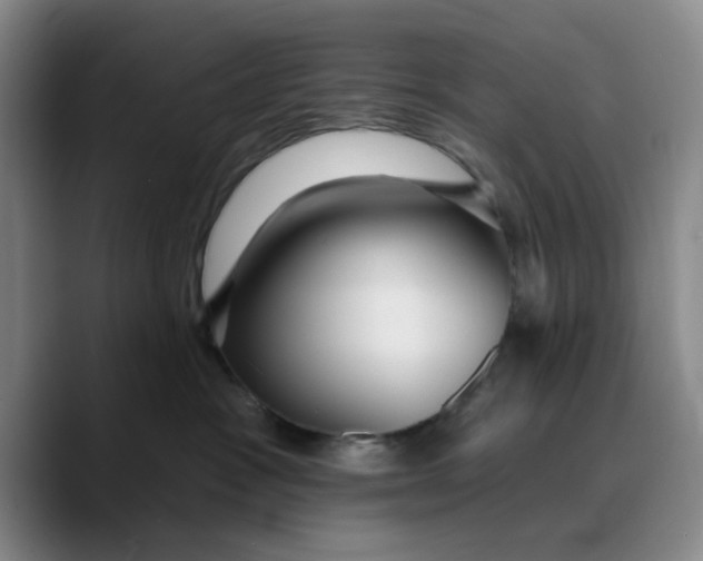 X0000089680333200707201705