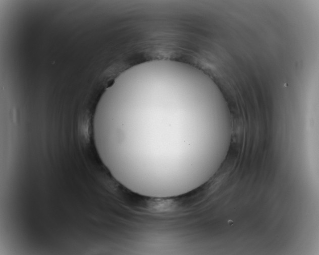 X0000089680334200707201705