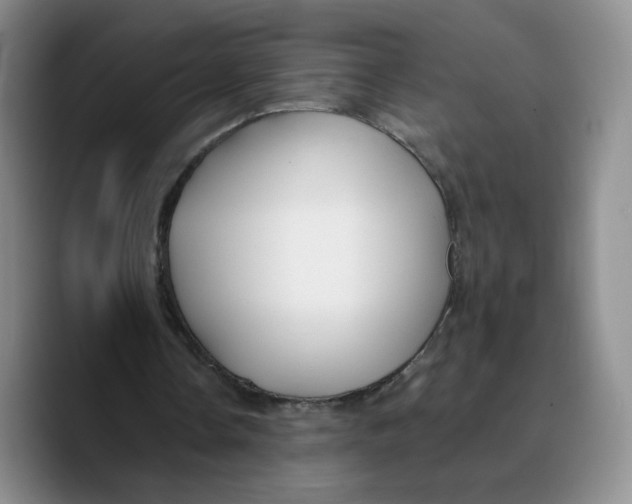 X0000089680338200707201704