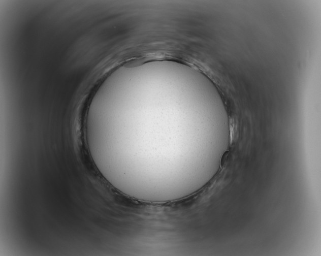 X0000089680339200707201704