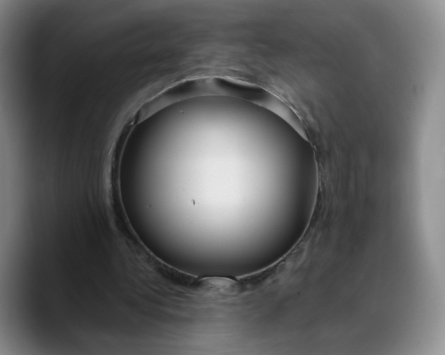 X0000089680340200707201704