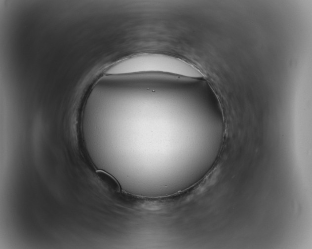 X0000089680341200707201704