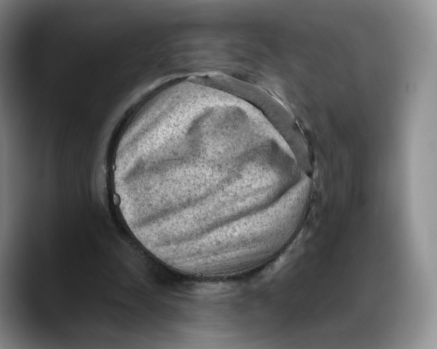 X0000089680342200707201704