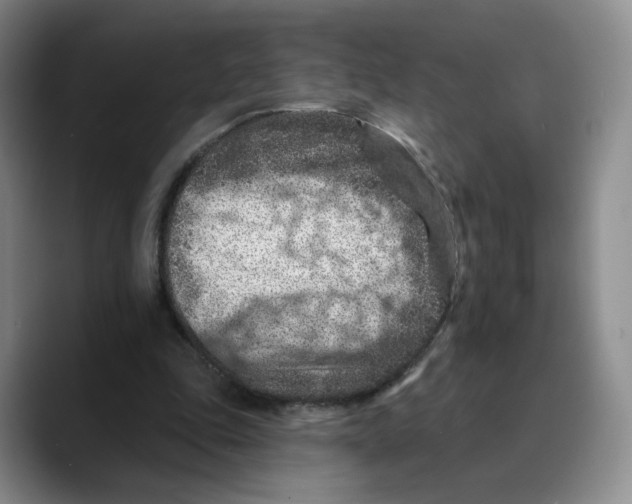 X0000089680343200707201704