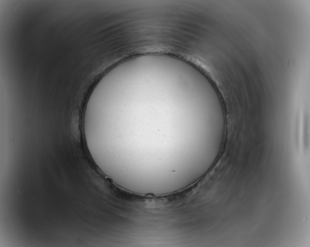 X0000089680345200707201704