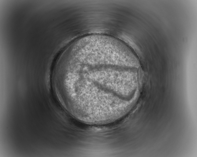 X0000089680346200707201704
