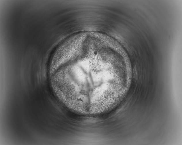X0000089680347200707201704