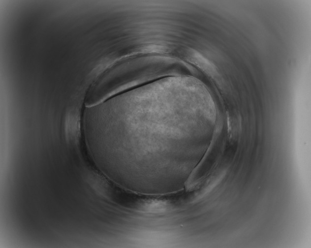 X0000089680348200707201704