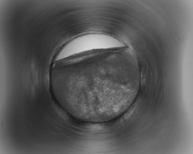 X0000089680349200707201704