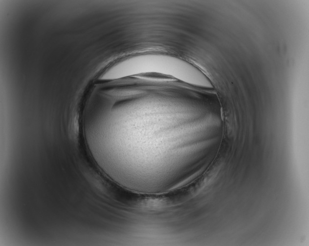 X0000089680350200707201704