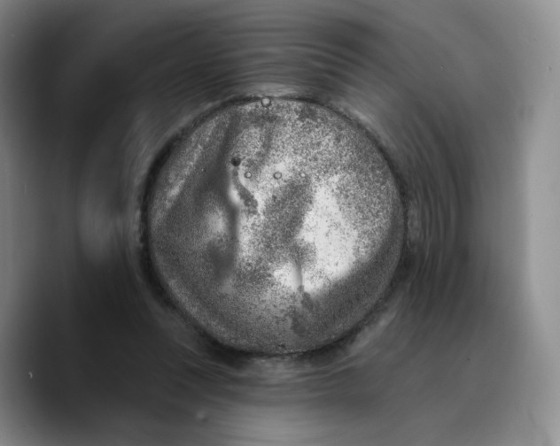 X0000089680351200707201704