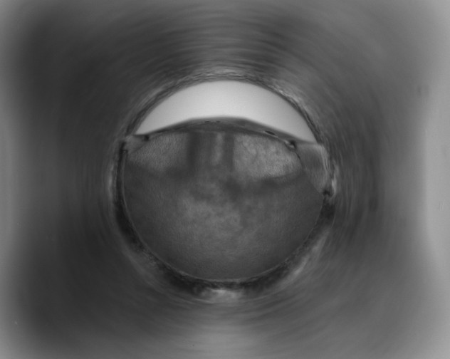 X0000089680352200707201704