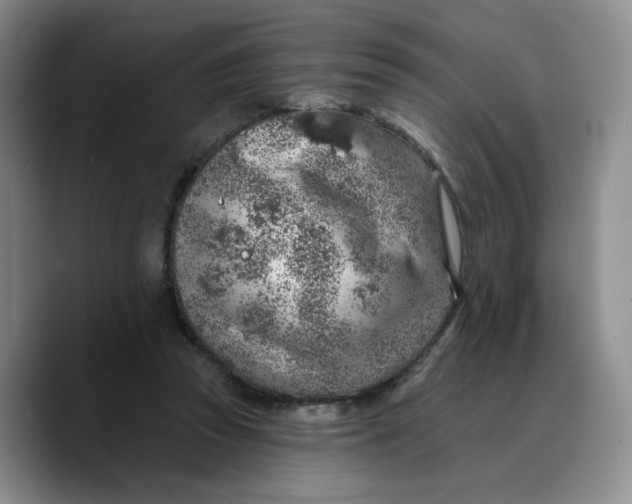 X0000089680353200707201704