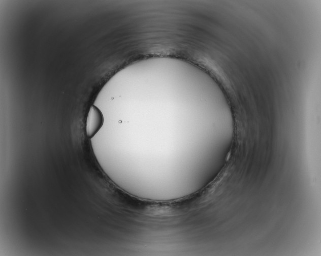 X0000089680354200707201704