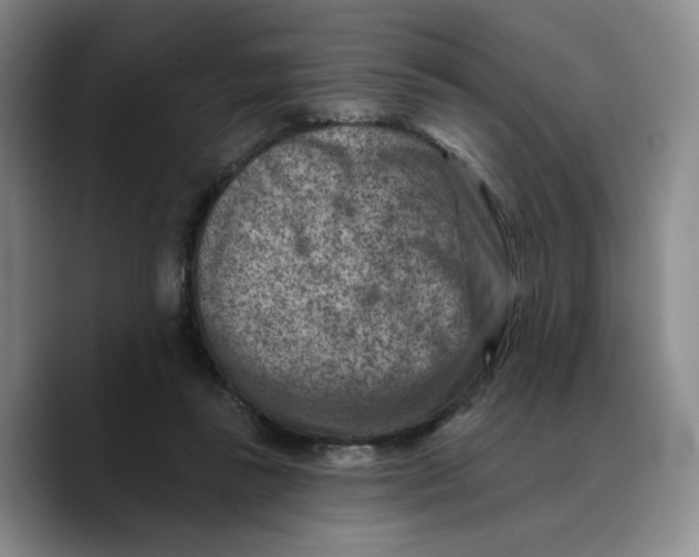 X0000089680355200707201704