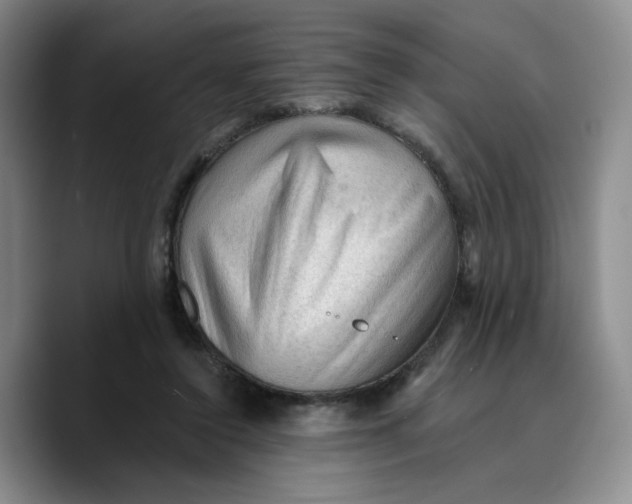 X0000089680356200707201704