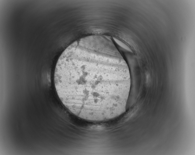 X0000089680358200707201704