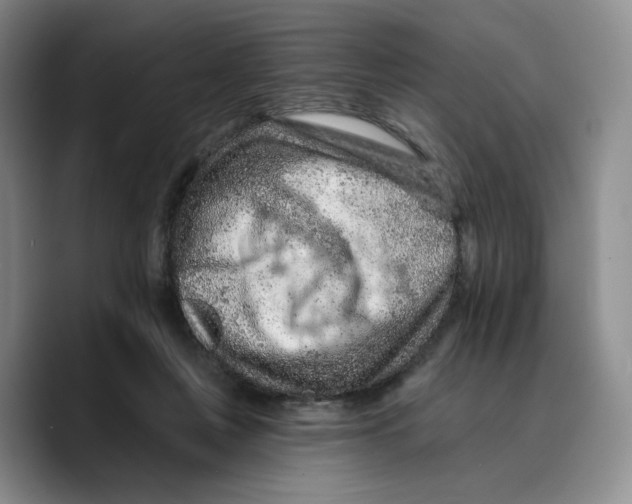 X0000089680359200707201704