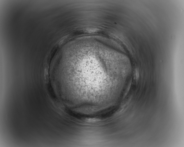 X0000089680360200707201704