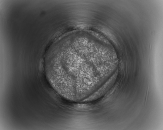 X0000089680361200707201704