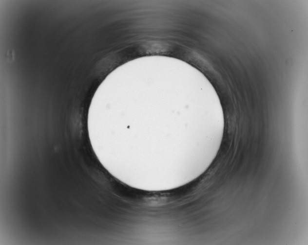 X0000089680362200707201704