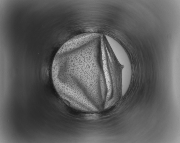X0000089680363200707201704