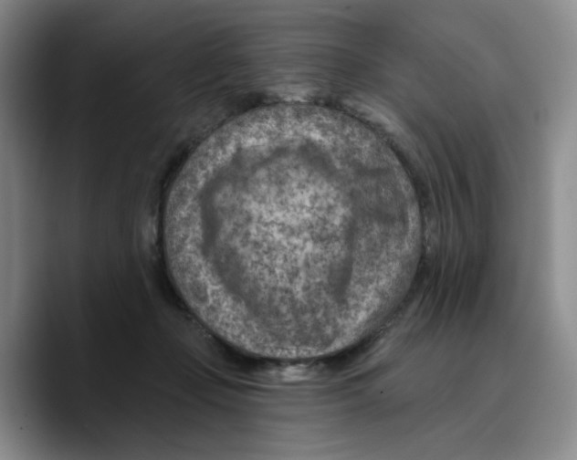 X0000089680365200707201704