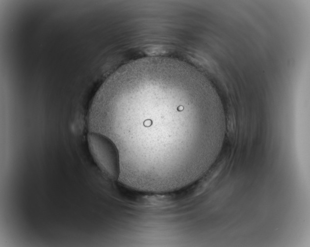 X0000089680367200707201704