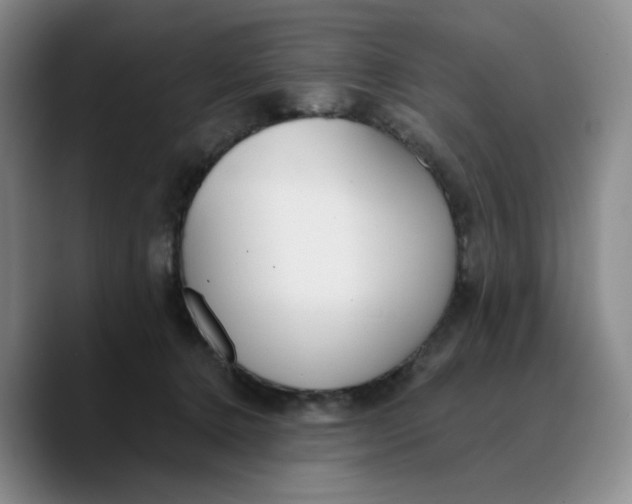 X0000089680368200707201705