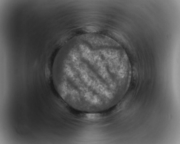 X0000089680371200707201705