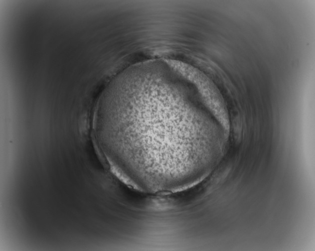 X0000089680372200707201705