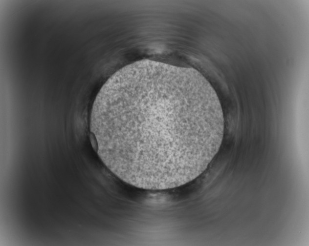 X0000089680376200707201705
