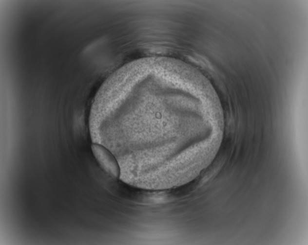 X0000089680377200707201705
