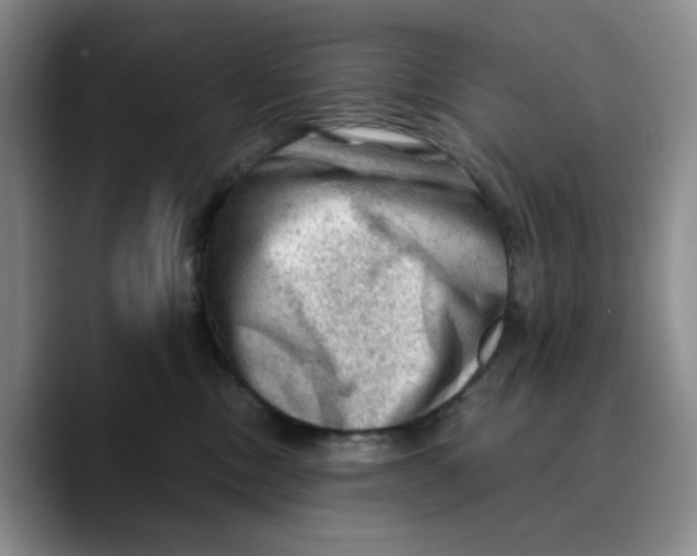 X0000089680378200707201705