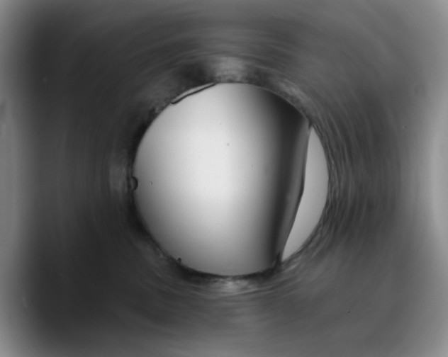 X0000089680379200707201705
