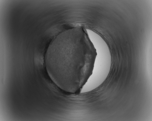 X0000089680380200707201705