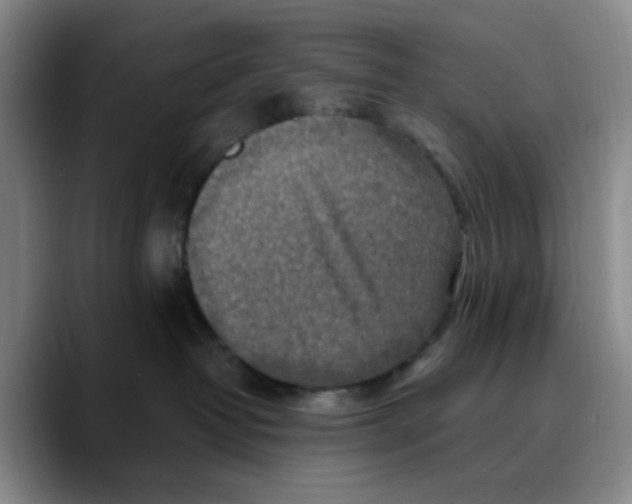 X0000089680382200707201705