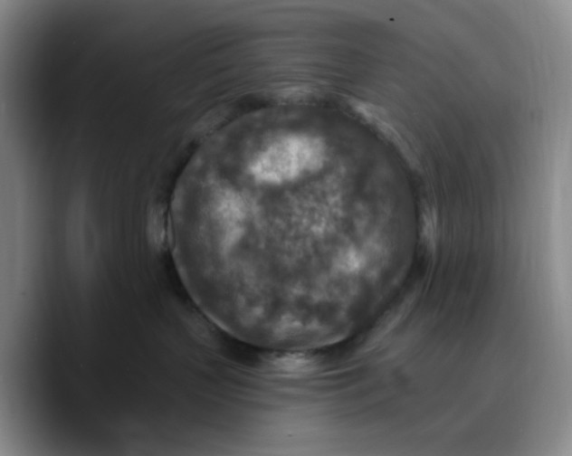 X0000089680383200707201705