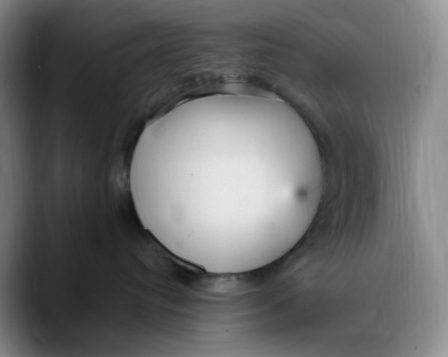 X0000089680384200707201705