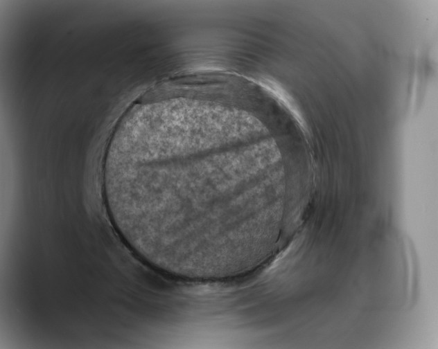 X0000089680385200707201704